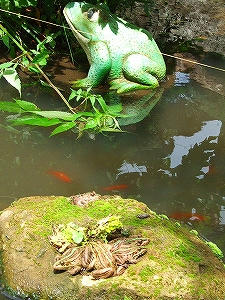 2009_07230001.jpg
