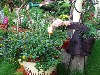 2009_07260001.jpg