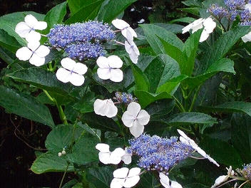2009_07260008.jpg
