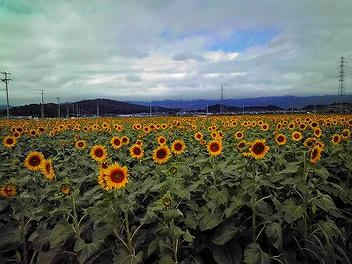 2009_07310002.jpg