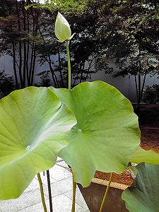 2009_07310005.jpg