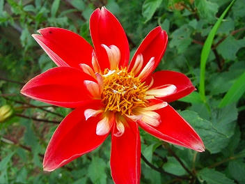 2009_08010002.jpg