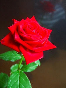 2009_08090006.jpg