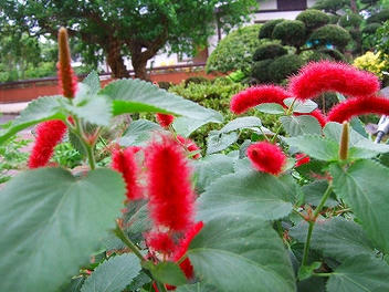 2009_08090012.jpg