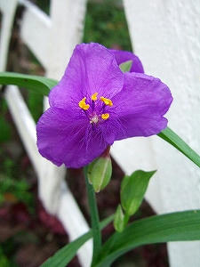 2009_08190007.jpg
