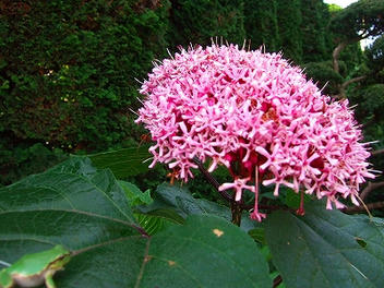 2009_08250010.jpg