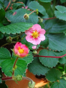 2009_08250016.jpg