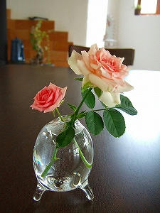 2009_08290006.jpg