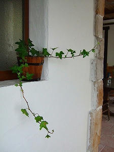 2009_08290001.jpg