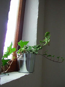 2009_08290002.jpg