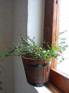 2009_08290005.jpg
