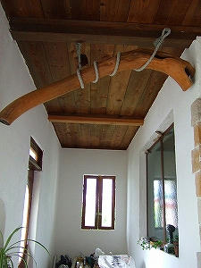 2009_091580001.jpg