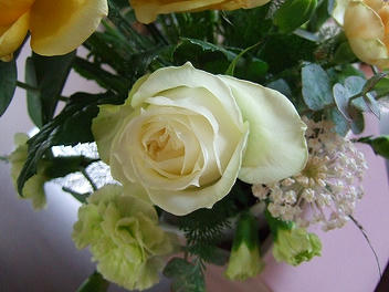 2009_09270010.jpg