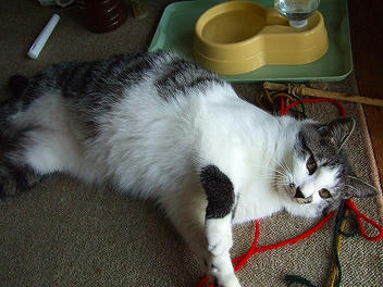 2009_09270005.jpg