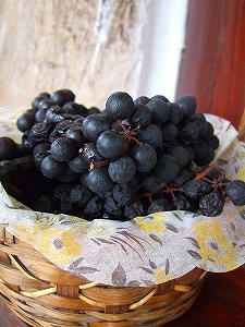 2009_10020012.jpg