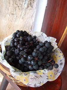 2009_10020013.jpg