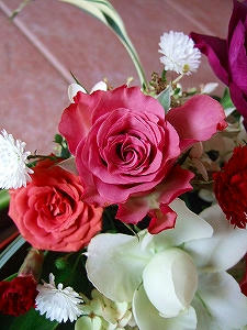 2009_10060013.jpg