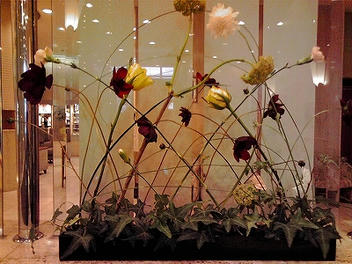 2009_10120002.jpg