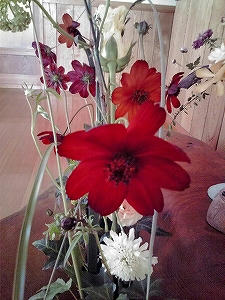 2009_10120006.jpg