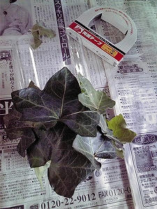 2009_10190007.jpg