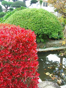 2009_10210005.jpg