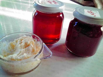 2009_10230002.jpg