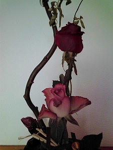 2009_10270004.jpg