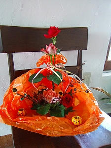 2009_10290008.jpg