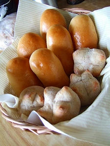 2009_11090005.jpg
