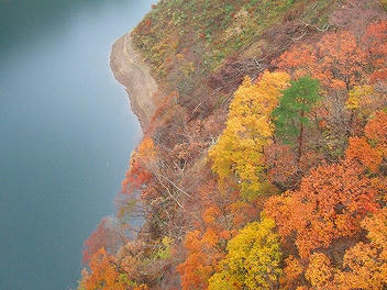 2009_11090011.jpg