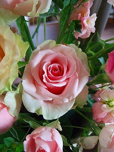 2009_11170008.jpg