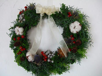 2009_12010003.jpg
