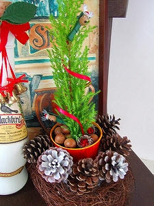 2009_12010005.jpg