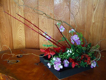 2009_12170013.jpg