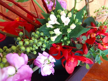 2009_12170015.jpg