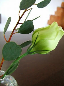 2009_12170009.jpg