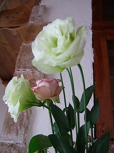 2009_12170010.jpg