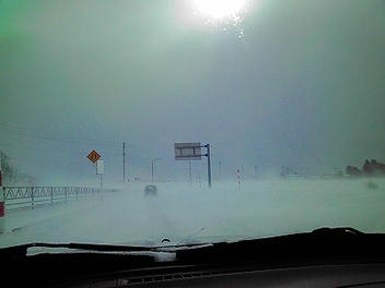 2010_01010002.jpg