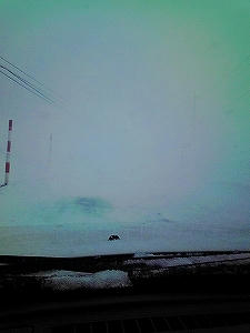 2010_01010006.jpg