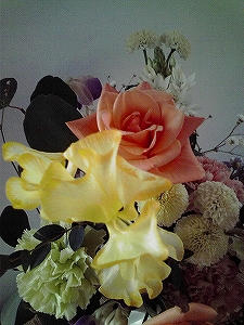 2010_01130001.jpg