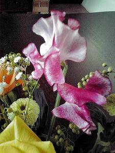 2010_01130002.jpg