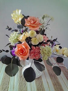 2010_01130004.jpg