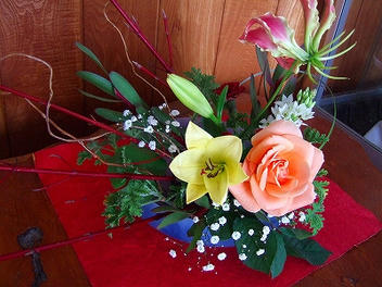 2010_01140001.jpg