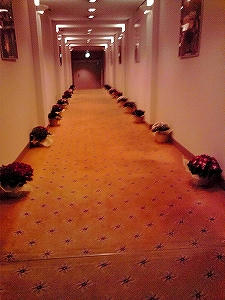 2010_01310003.jpg