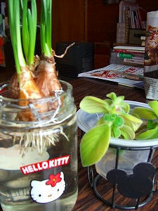 2010_02140001.jpg