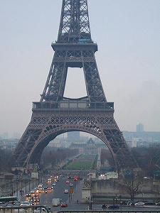 2010_02200019.jpg