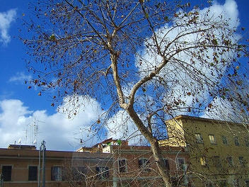 2010_02200057.jpg