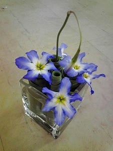 2010_03080018.jpg