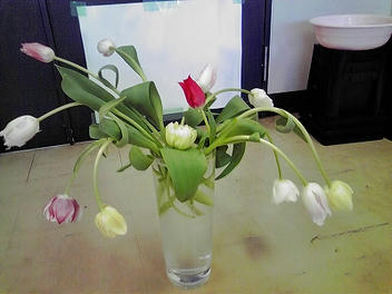2010_03080019.jpg