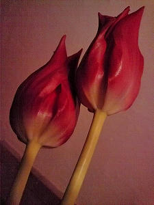 2010_03080020.jpg